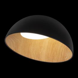 Потолочный светодиодный светильник Loft IT Egg 10197/500 Black  - 5 купить